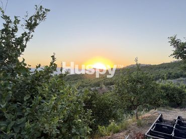 Terreno rustico in vendita a Vélez-Málaga ciudad