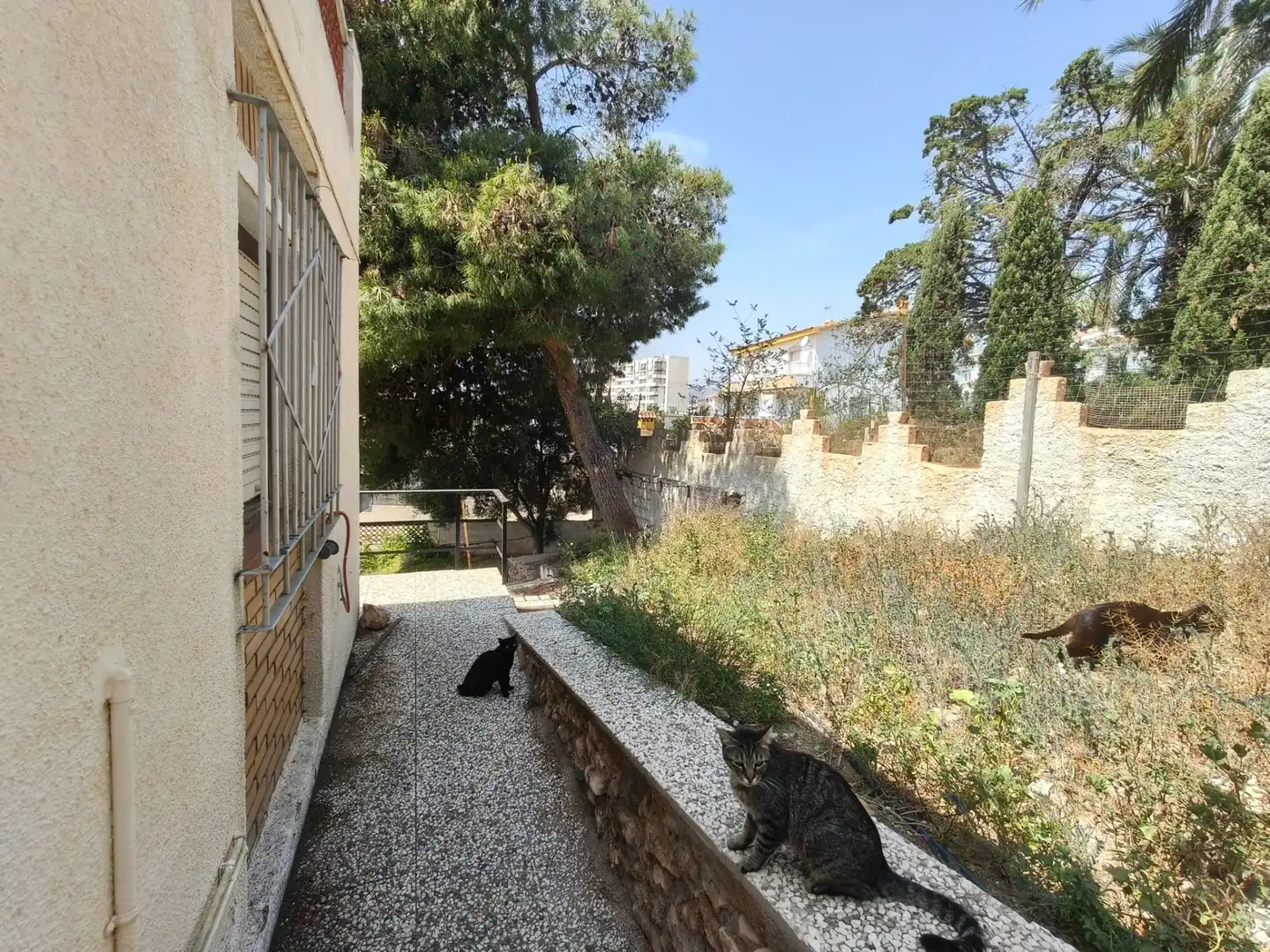 Villa avec jardin à vendre à Las Majadas-Las Molinetas-Labradorcico, imagen 15