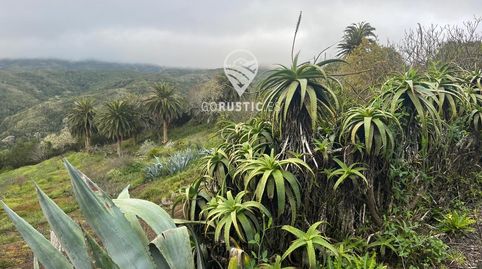 Finca Rustica en Cruz de Tierno, immagine 3