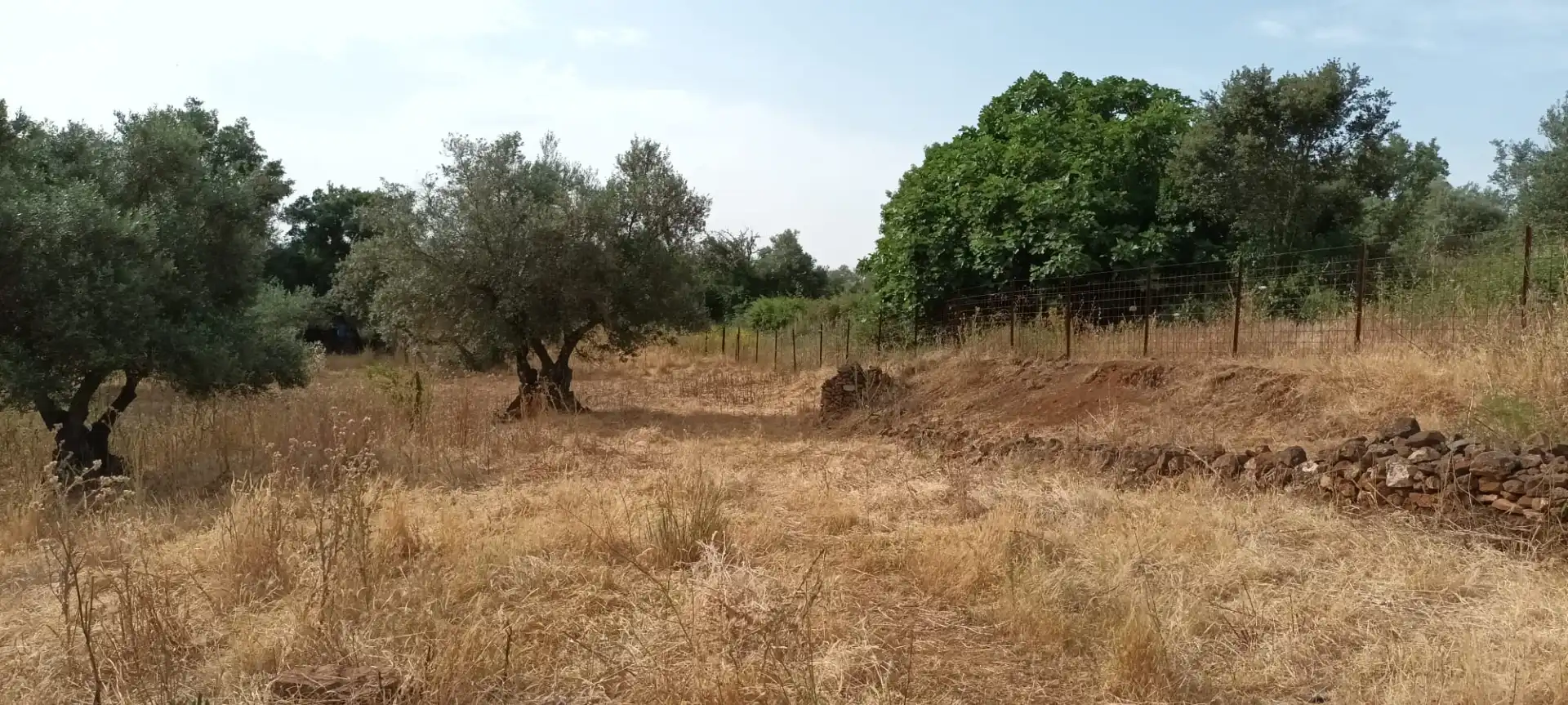 Grundstücke zum Verkauf in Valle de Santa Ana
