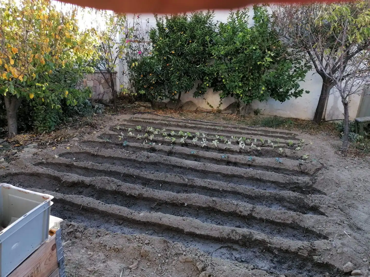 Jardín de Casa o chalet en venta en Alhendín con Calefacción, Jardín privado y Trastero