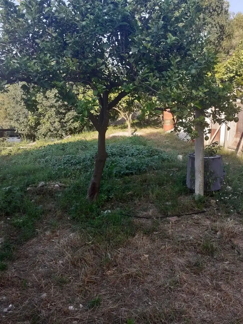Terreno residencial en venta en Xàtiva, imagen 4