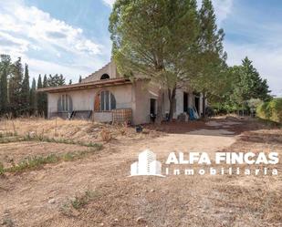 Casa o xalet en venda en Villarrobledo amb Jardí privat