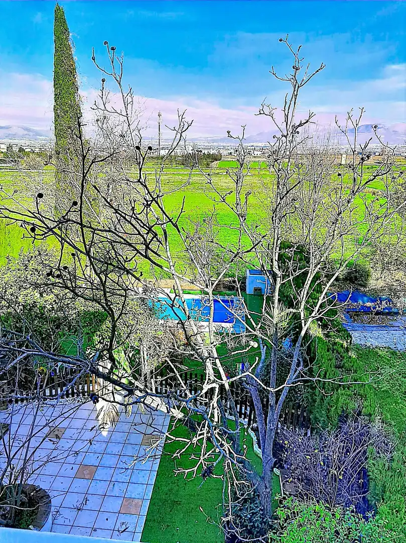 Jardín de Casa o chalet en venta en Cúllar Vega con Aire acondicionado, Calefacción y Jardín privado