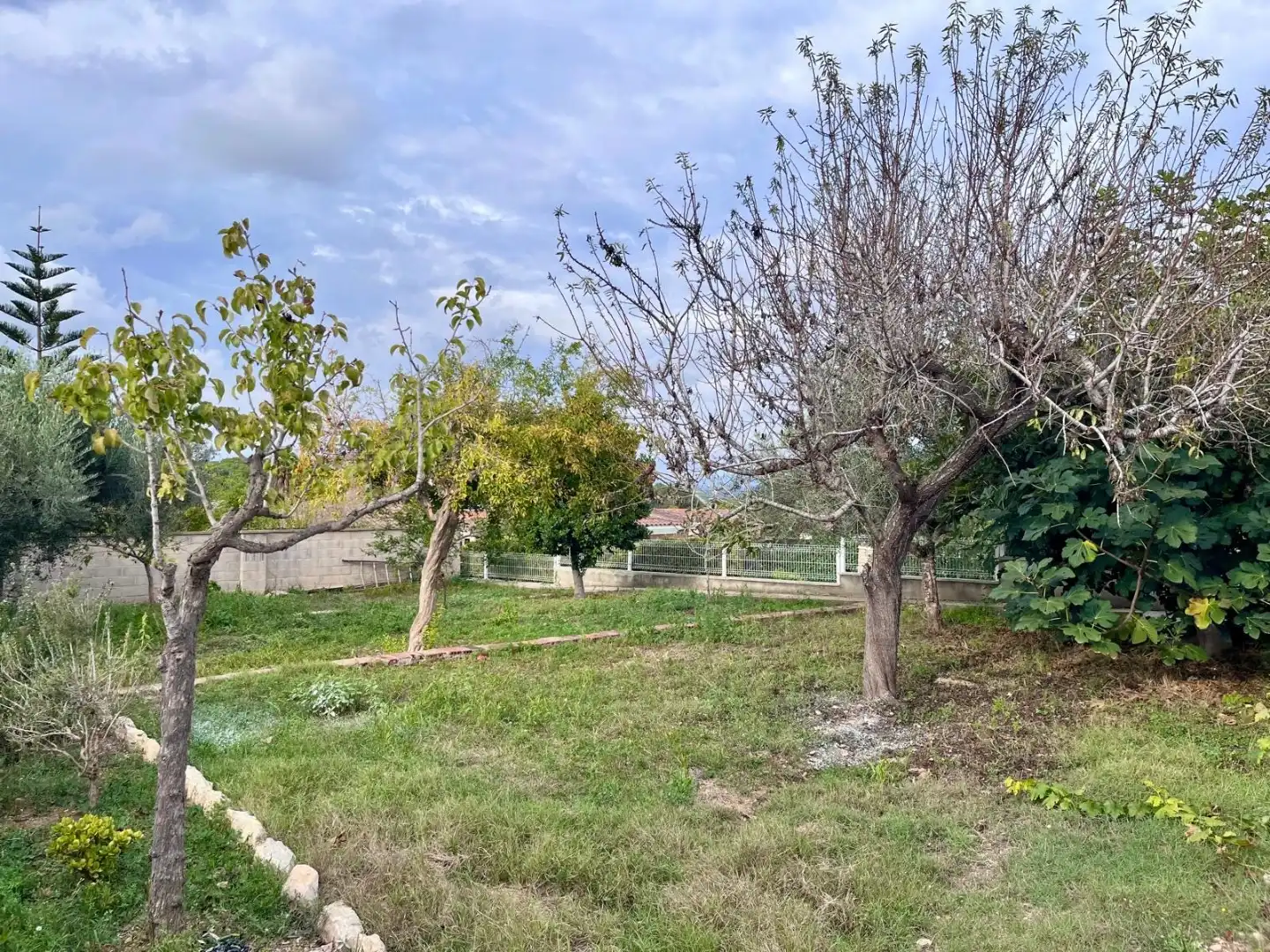 Casa rústica con piscina en venta en Carrer del Vallespir 48, imagen 2