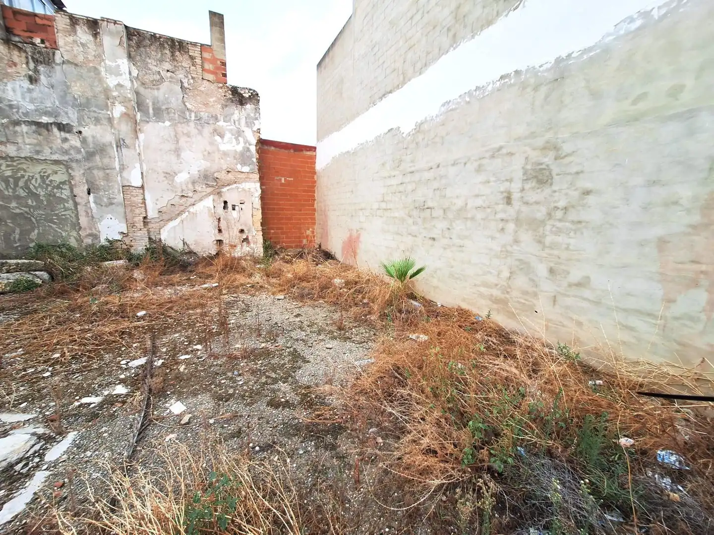 Terreny residencial en venda a La Pobla Llarga, imagen 7