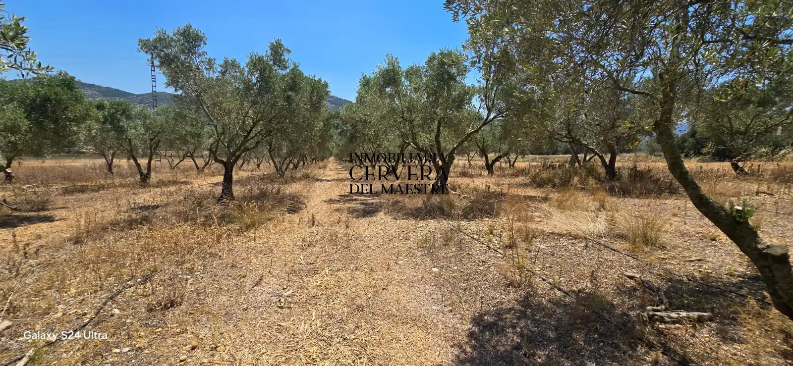 Terrain rustique à vendre à Sant Mateu, imagen 13