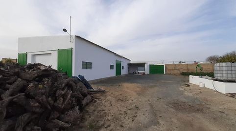 Foto 5 de Casa o chalet en venta en Estación - La Fontanilla - El Tinte, Utrera