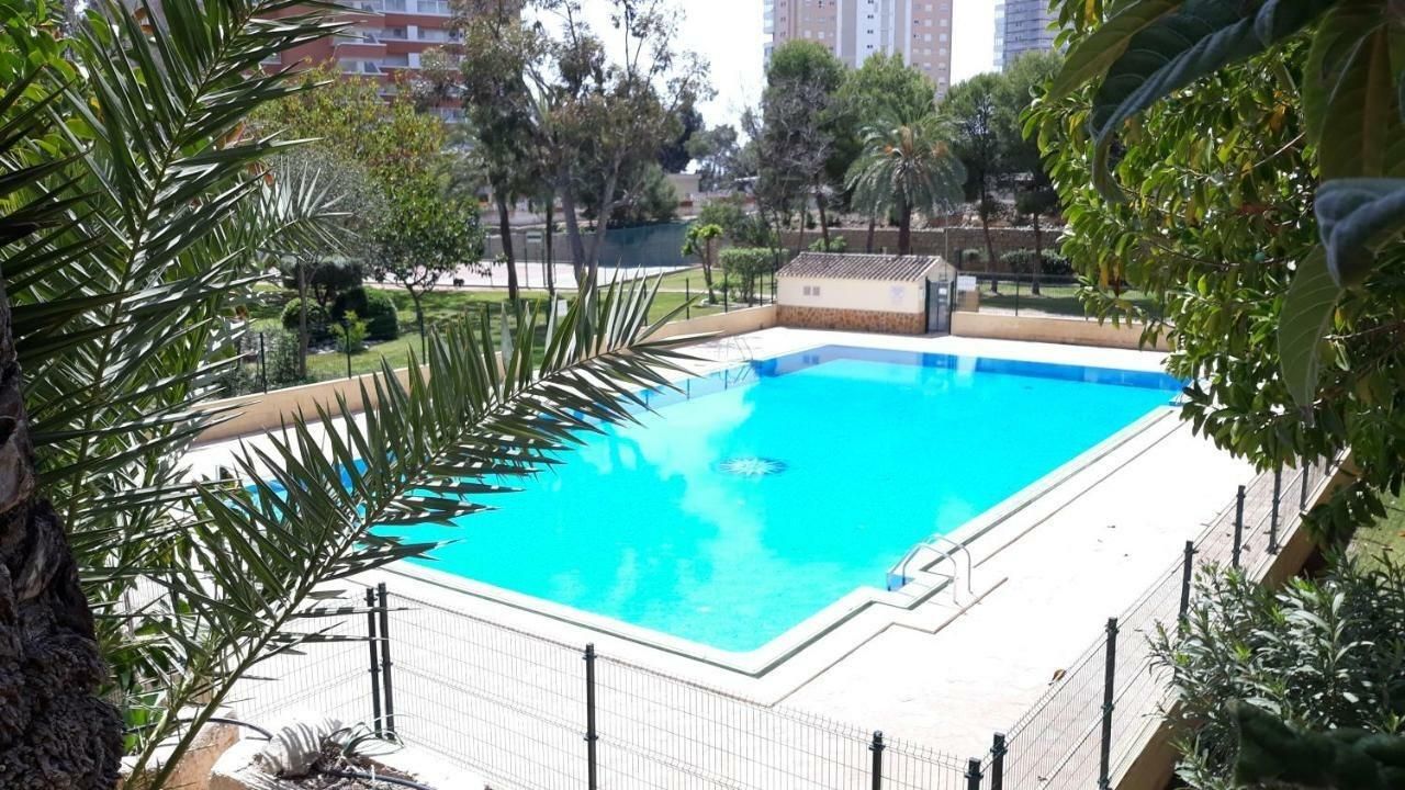 Piscina de Apartament de lloguer en Benidorm amb Jardí privat, Terrassa i Piscina comunitària