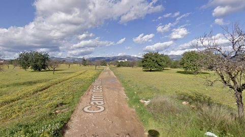 Foto 3 de Terreny industrial en venda a Camino Camí Moris, Sa Cabana - Can Carbonell - Ses Cases Noves, Marratxí