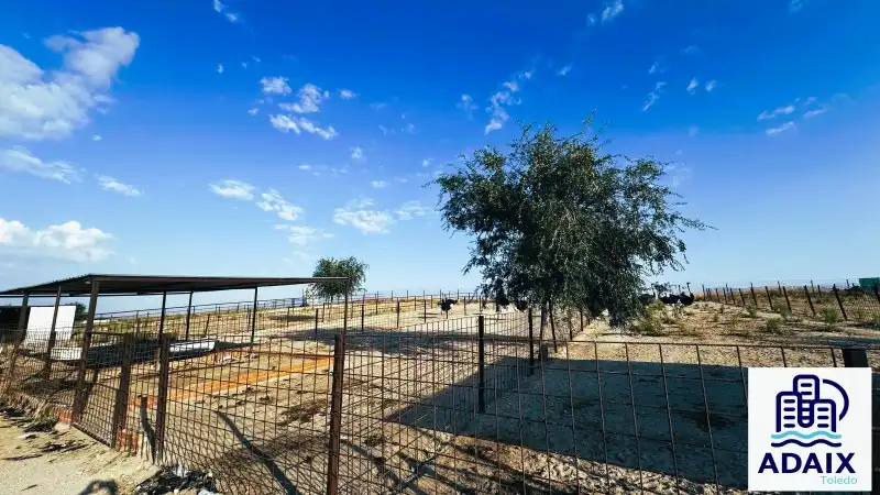 Vista exterior de Finca rústica en venda en Pulgar amb Calefacció i Terrassa
