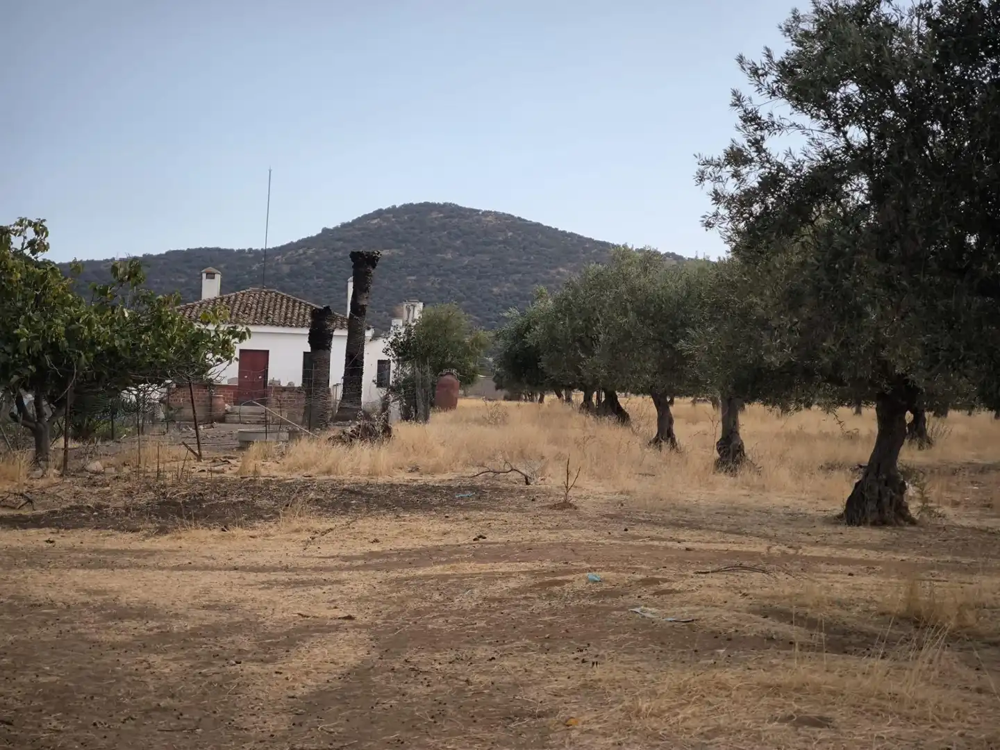 Finca rústica en venda en El Viso de San Juan