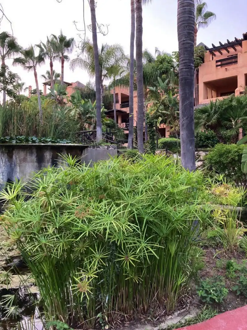 Habitatge amb piscina en venda a Benamara - Atalaya, imagen 15