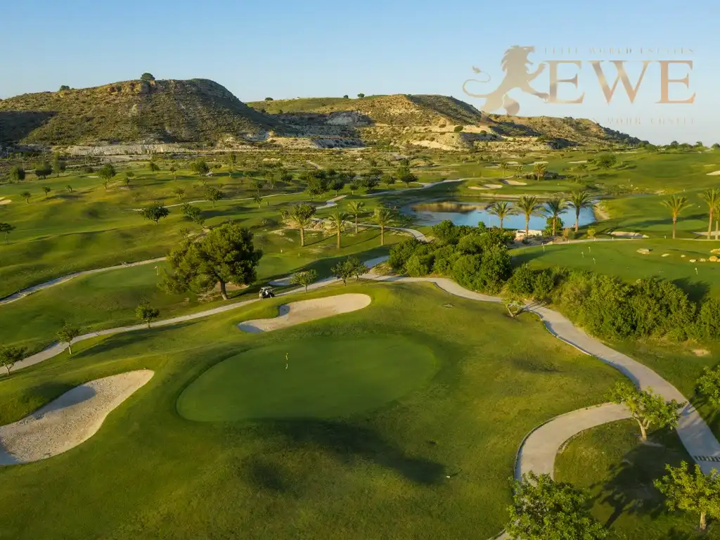 Maison à vendre à Carretera Ctra. Alicante – Aspe CV 847, km 3,8, imagen 22