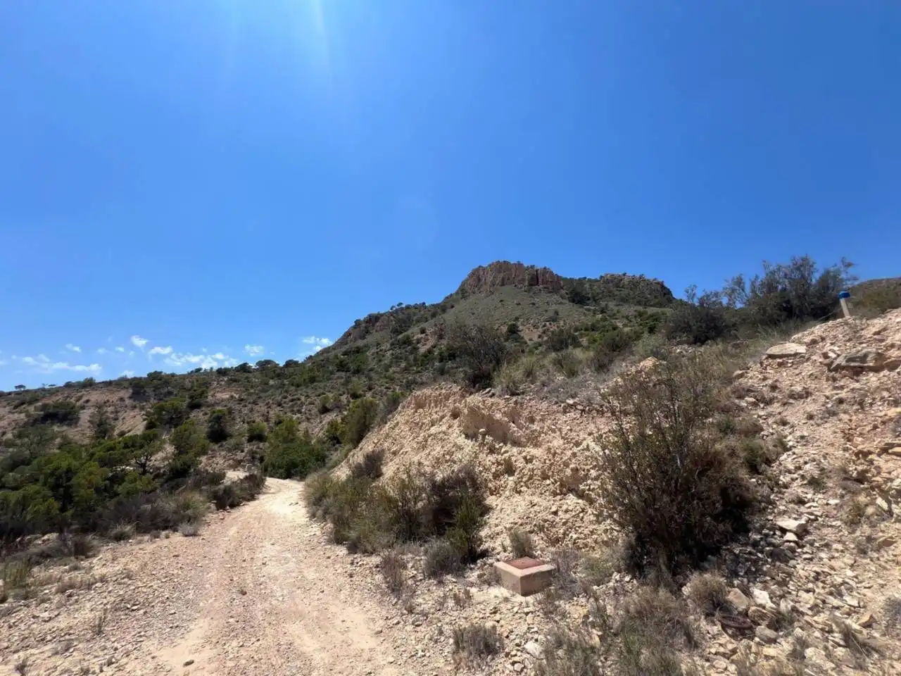 Vista exterior de Finca rústica en venda en Alicante / Alacant
