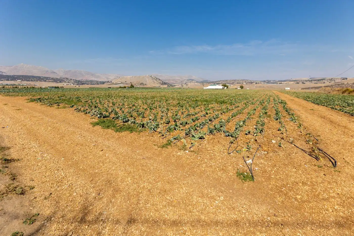 Finca rústica en venta en Alhama de Granada con Aire acondicionado, Jardín privado y Terraza