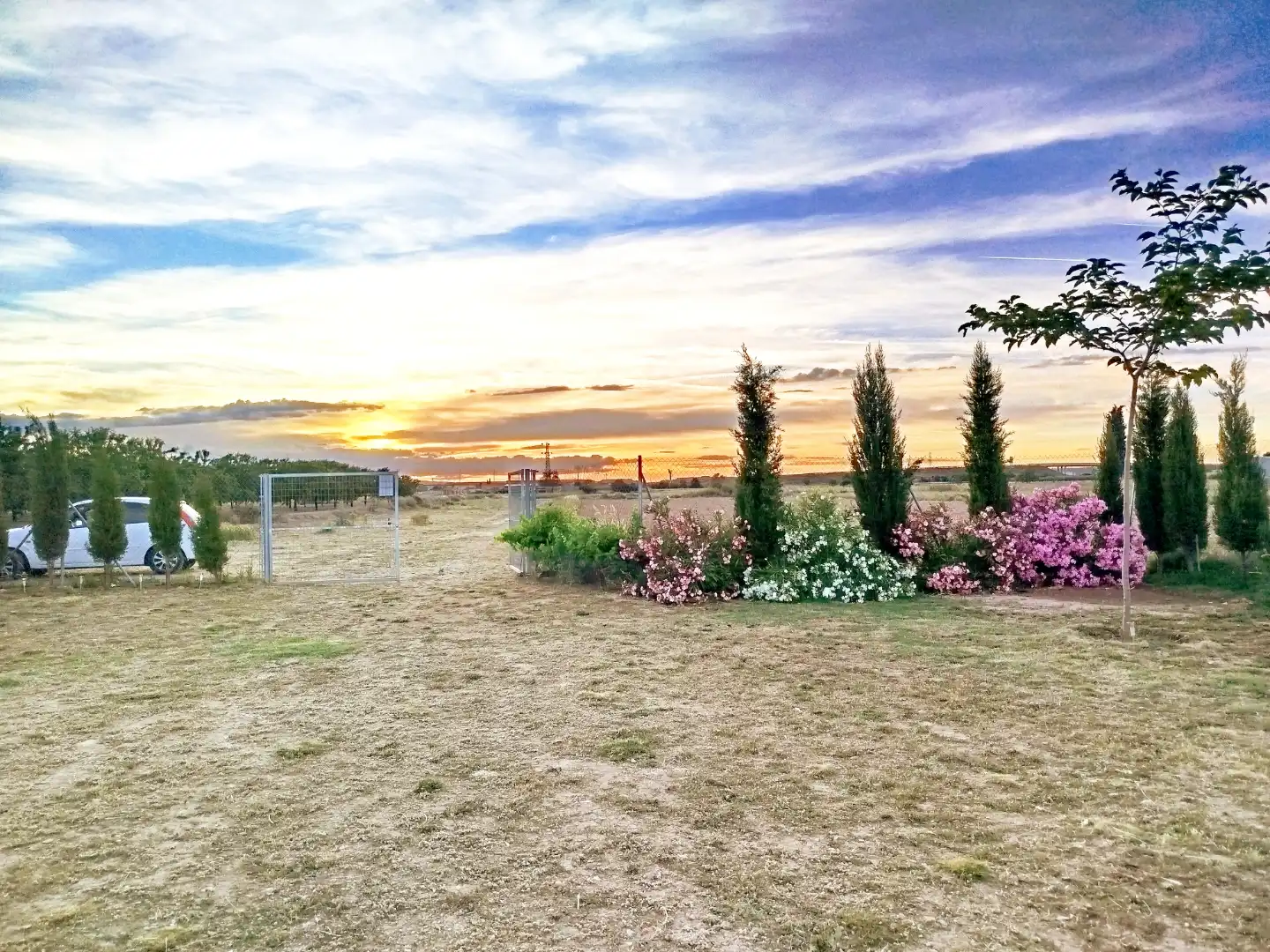 Land for sale in Tudela