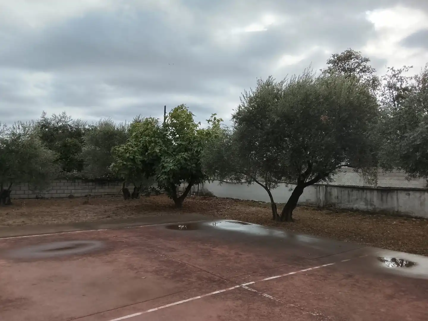 Finca rústica en venda en Córdoba amb Aire condicionat, Calefacció i Jardí privat