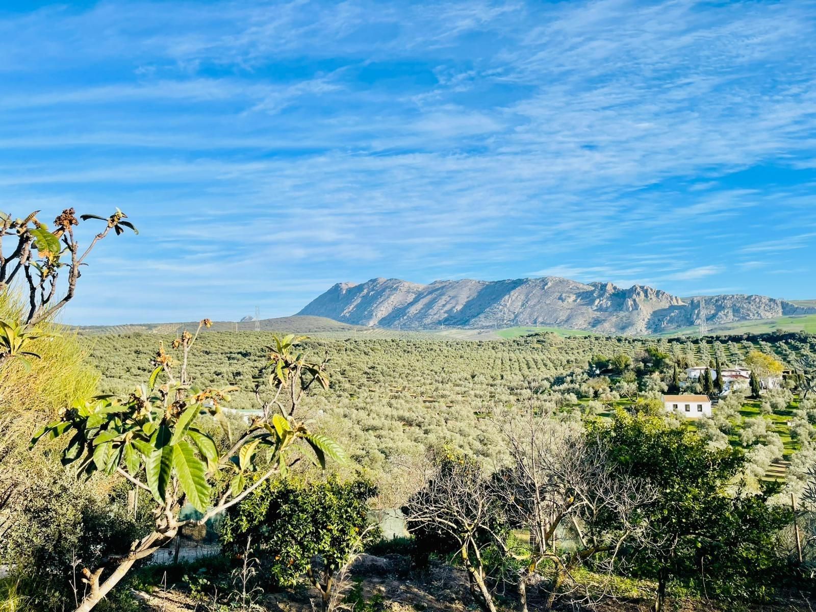Exterior view of Country house for sale in Antequera  with Private garden, Storage room and Swimming Pool