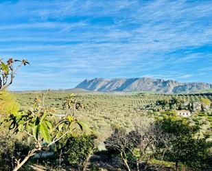 Exterior view of Country house for sale in Antequera  with Private garden, Storage room and Swimming Pool