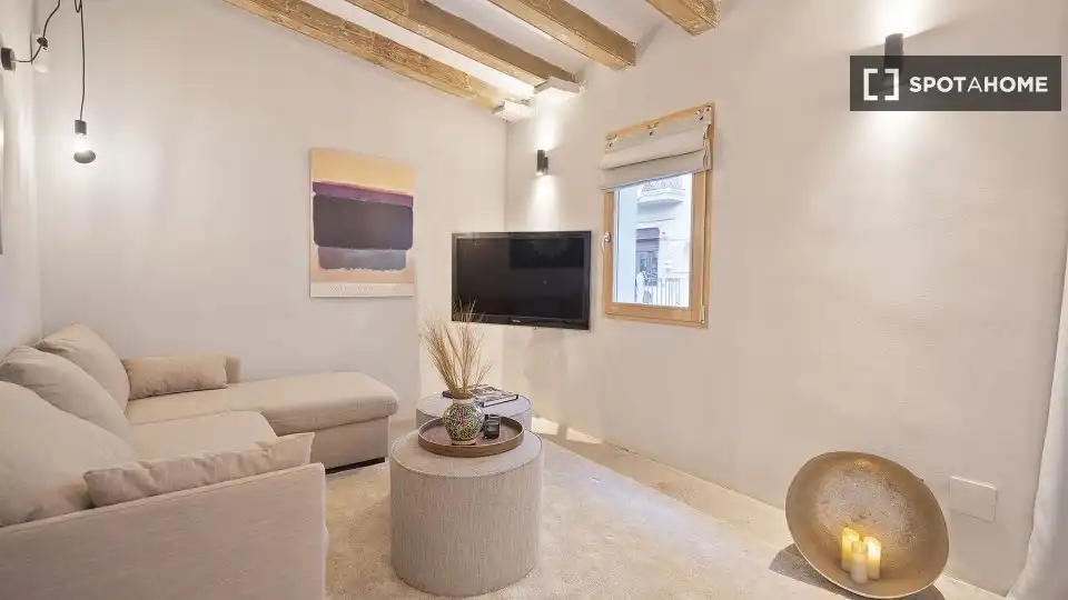 Piso con terraza en alquiler en Ciutat Vella, imagen 3