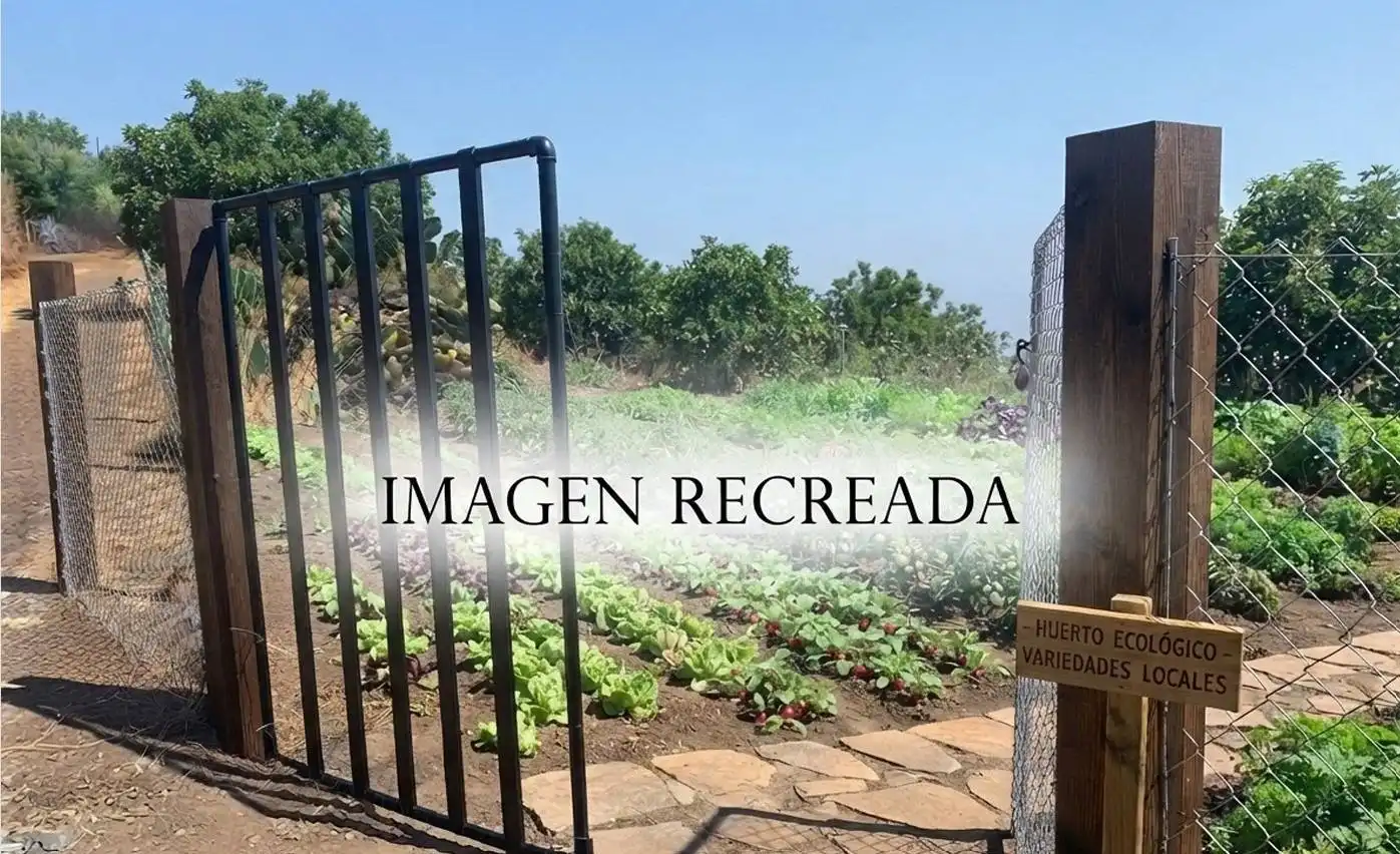 Jardín de Finca rústica en venta en Gáldar con Trastero
