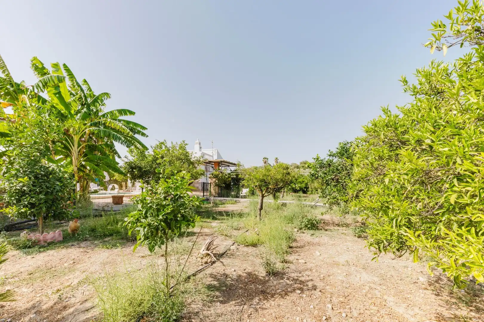 Casa amb piscina en venda a Camino Valdeurraca, imagen 50