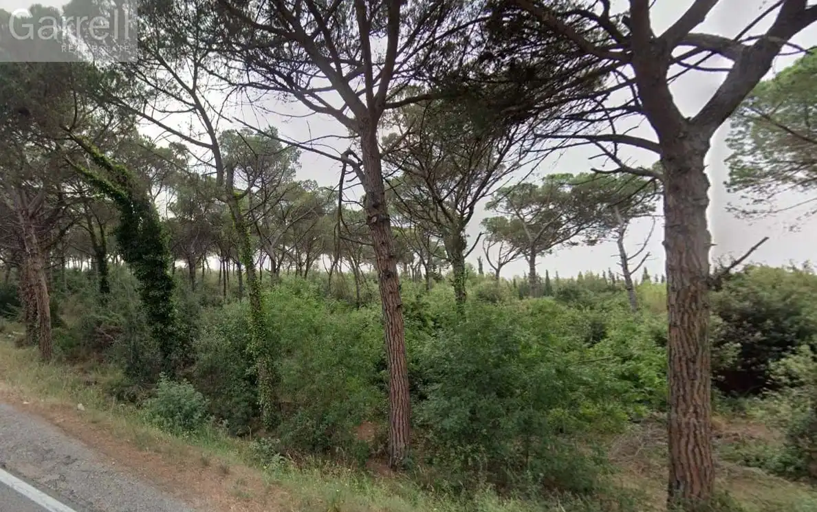 Lands and plots for sale in PL SECTOR INDUSTRIAL C.N. II Polígono  Parcela  AMPLIACIO SECTOR 
JUNTO A CARRETERA N.  PALAFOLLS [BARCELONA], imagen 3