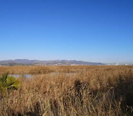 Rustikales Grundstück zum Verkauf in La Llosa, imagen 9