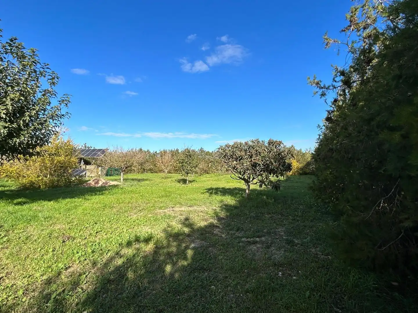 Finca rústica en venda en Montuïri