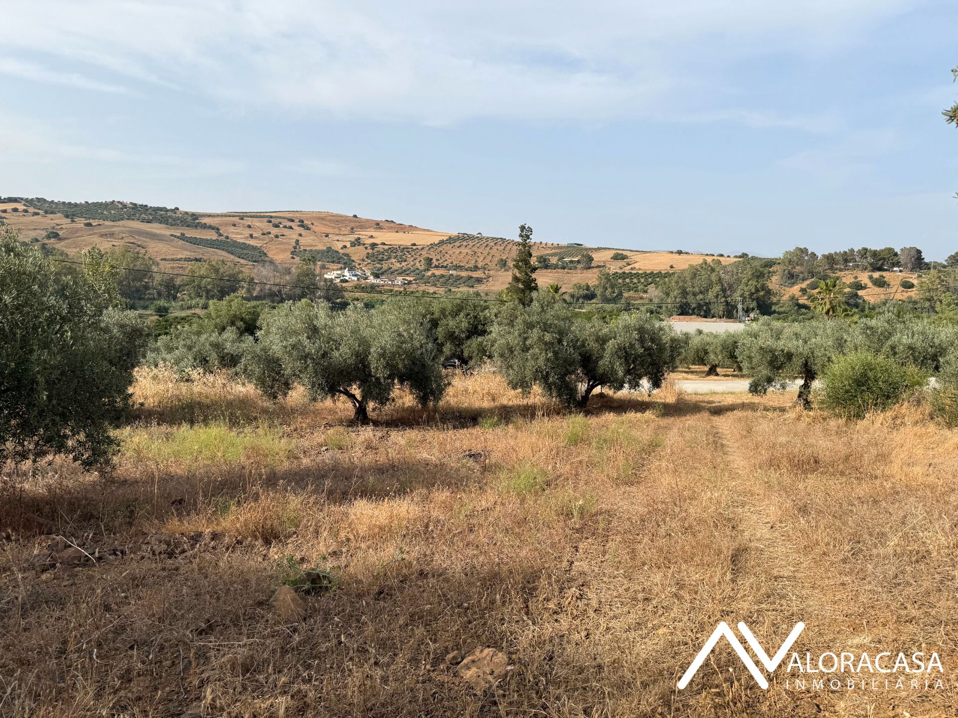 Land for sale in Coín