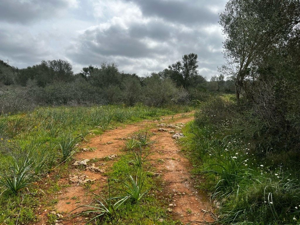 Finca rústica en venta en Campos