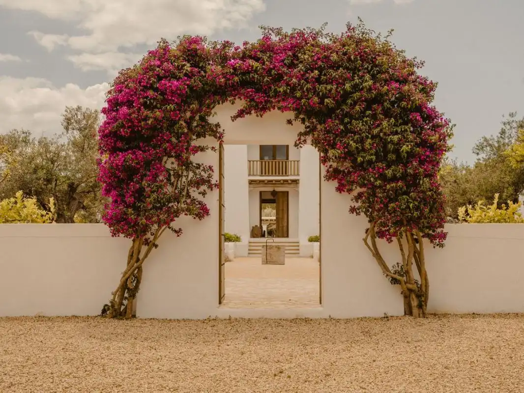 Maison avec terrasse à vendre à Santa Gertrudis, imagen 4