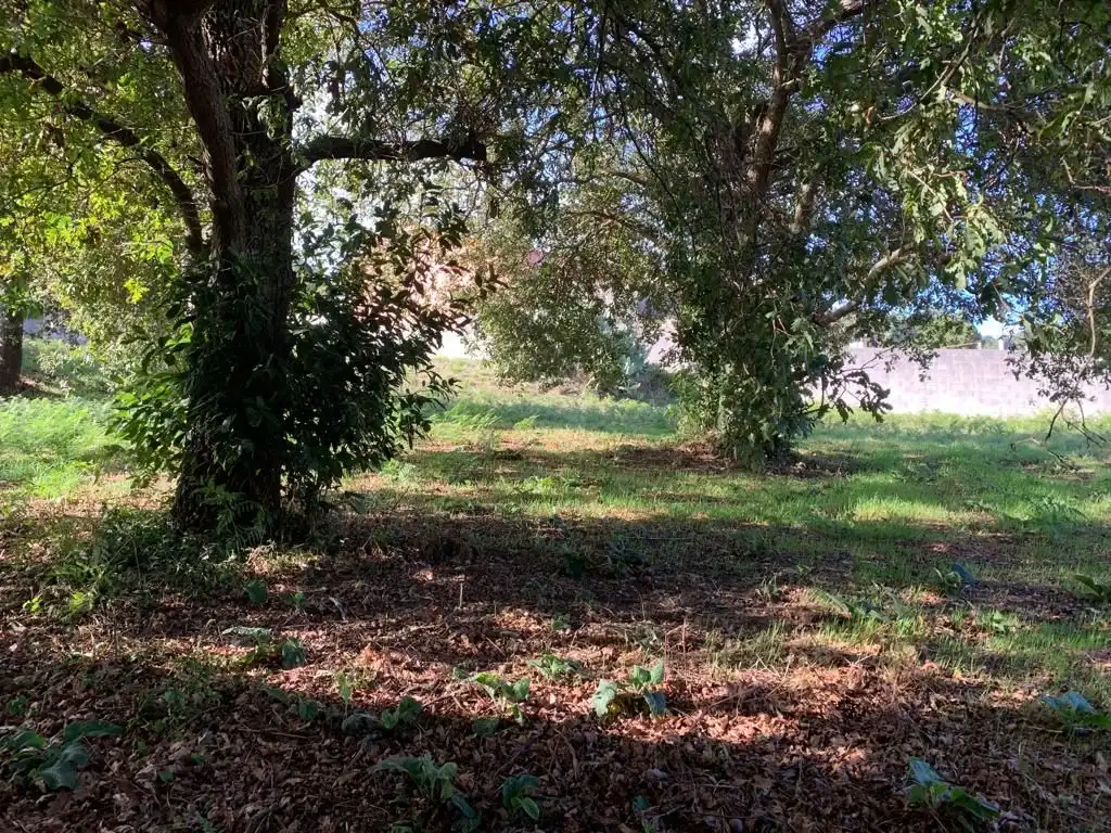Wohnbaugrundstück zum Verkauf in Rúa Xiabre, imagen 6