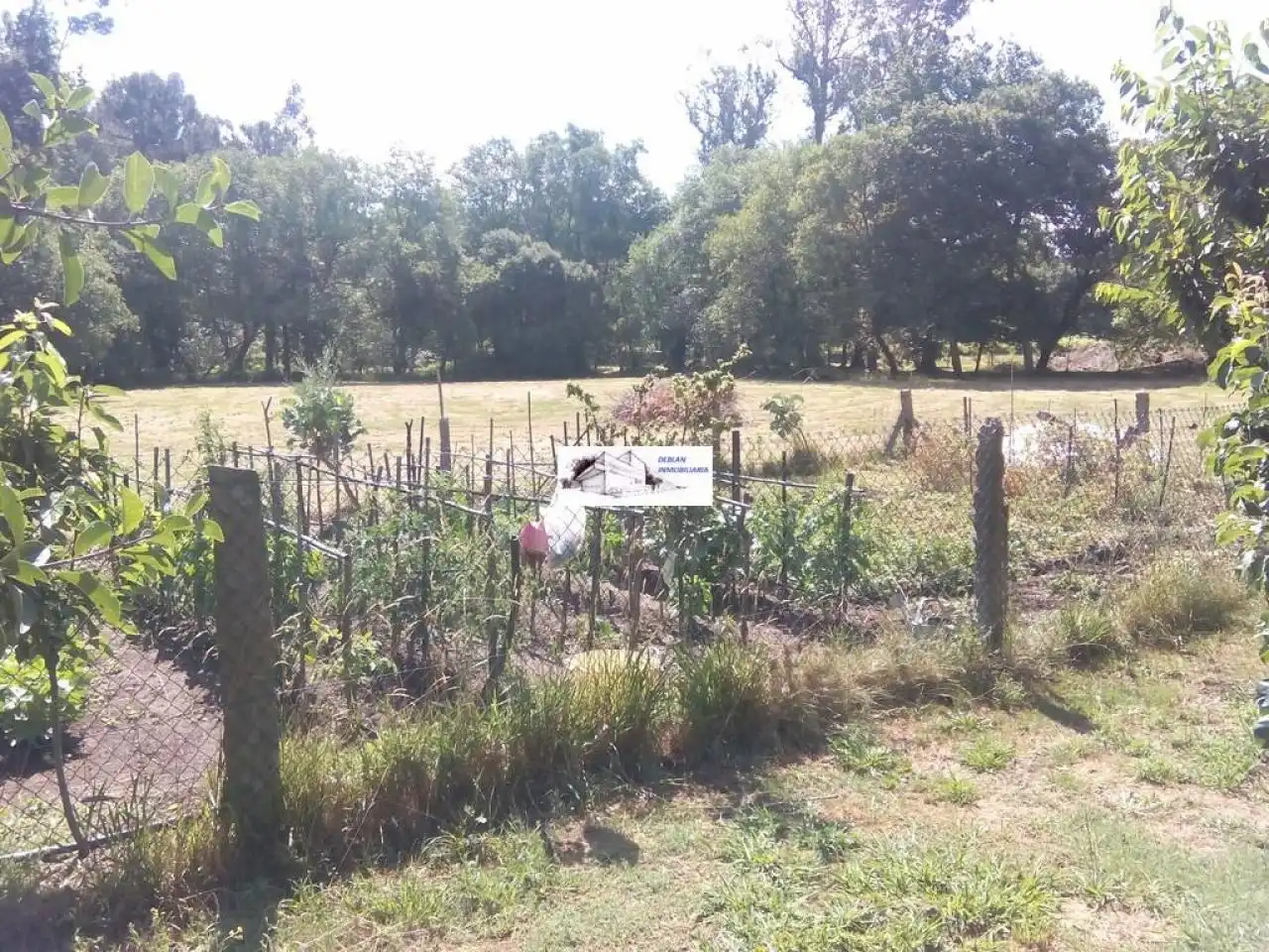 Terreno rustico in vendita a Tomiño, imagen 48