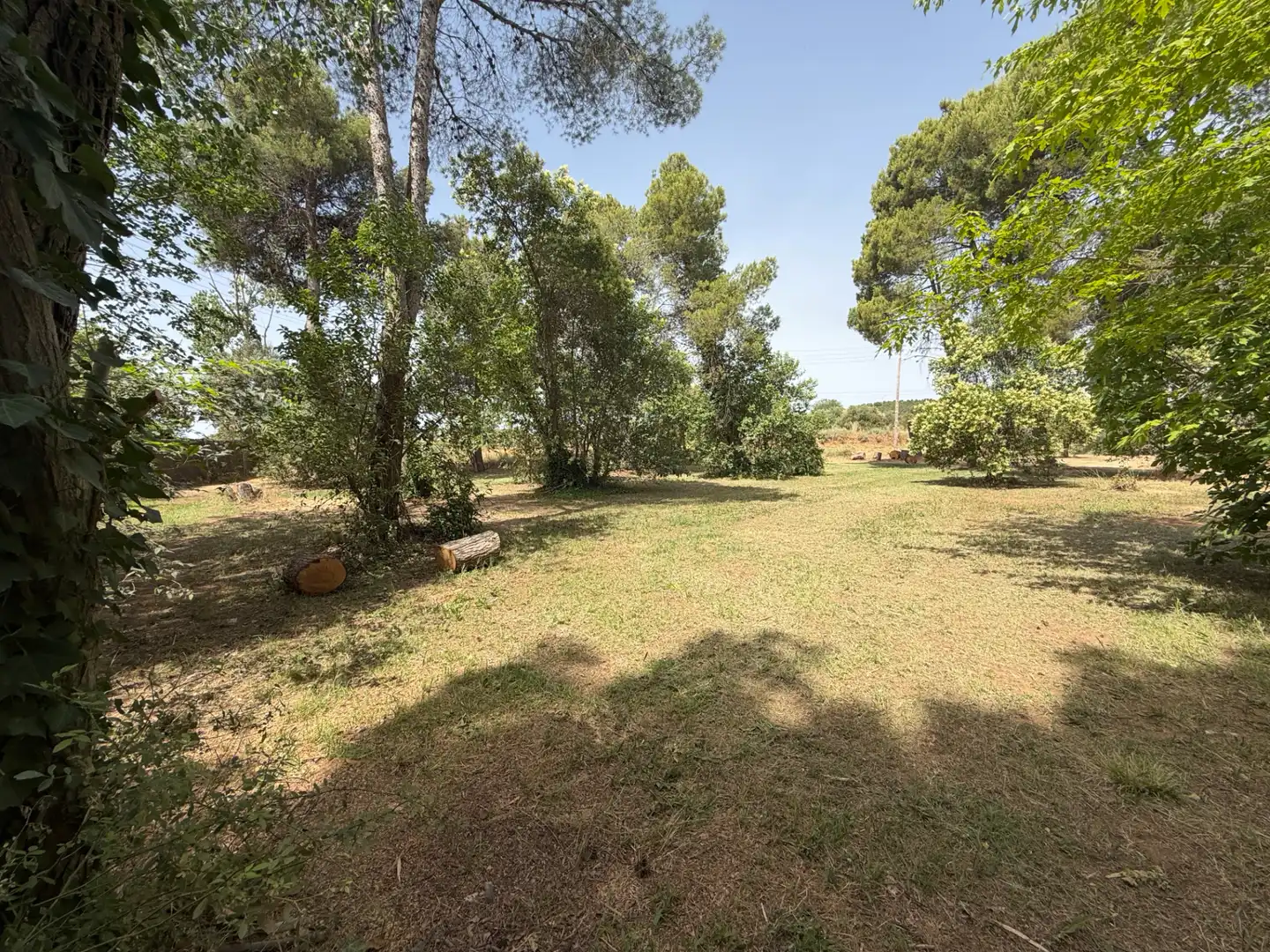 Residencial en venda a Camí de Lleida, 14, Els Alamús