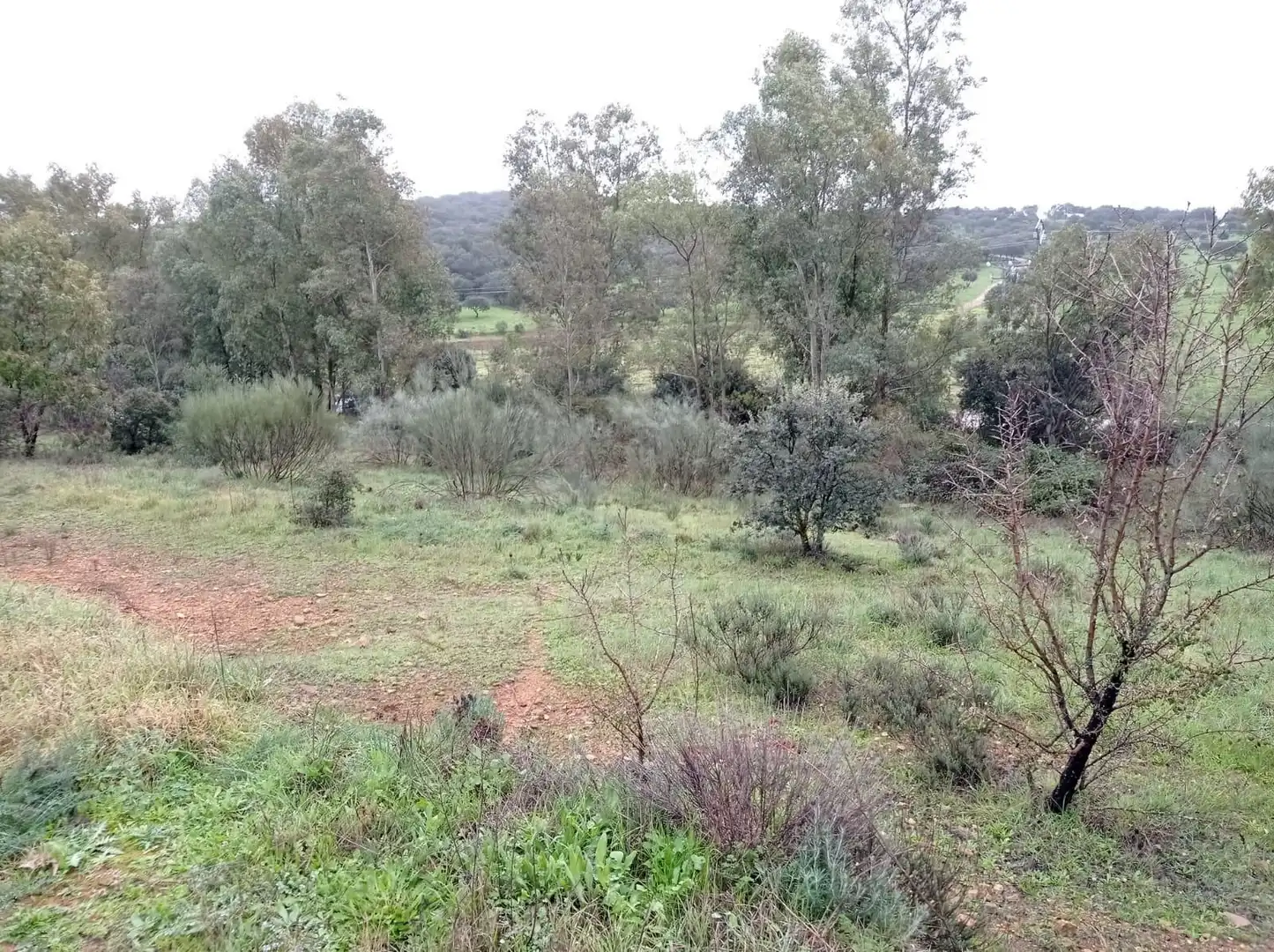 Casa rústica en venda a Valdesalor - Rincón de Ballesteros, imagen 2