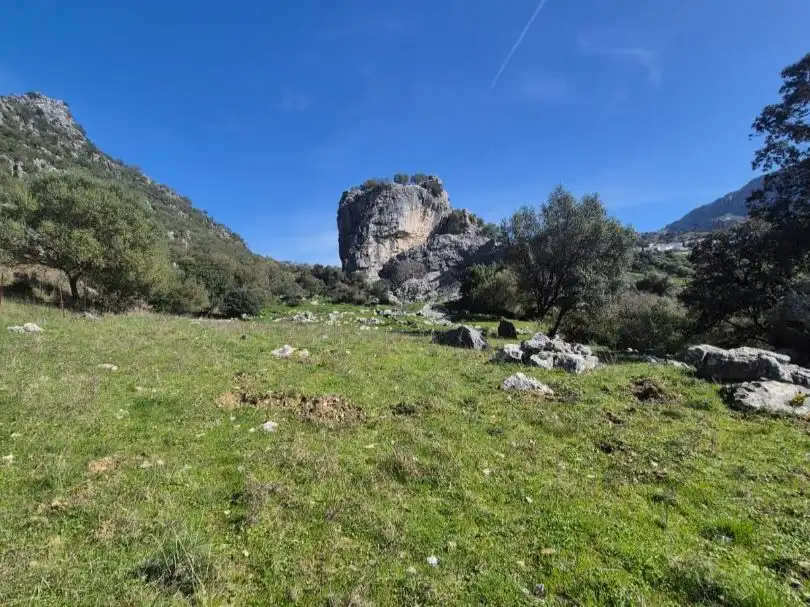 Grundstücke zum Verkauf in Benaocaz