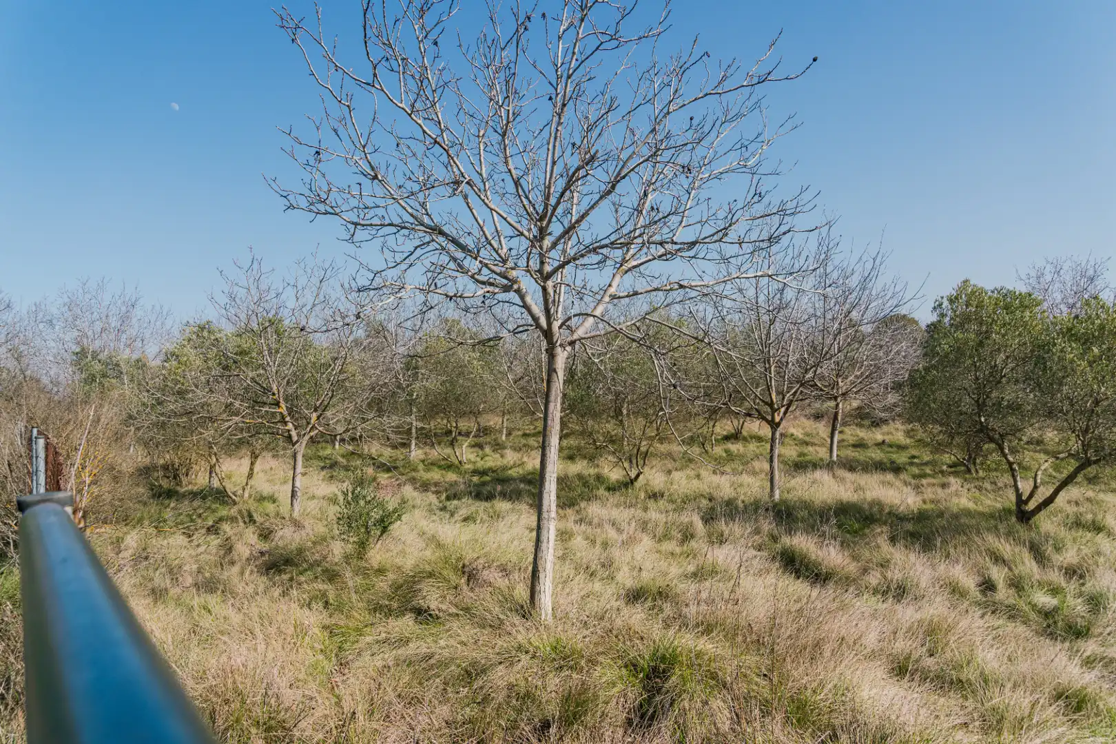 Finca rústica en venda en Pedrola amb Jardí privat, Terrassa i Moblat