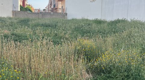Photo 3 of Industrial land for sale in Carrer de la Serra Calderona, 8, Massamagrell, Valencia