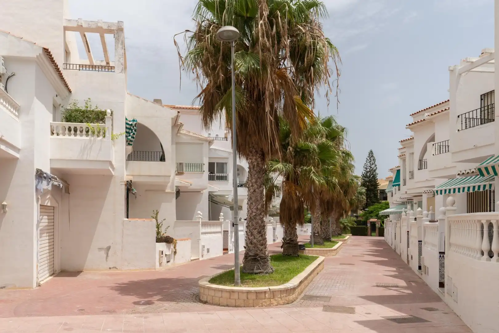 House with terrace for sale in Calle Calle Andrómeda, imagen 21