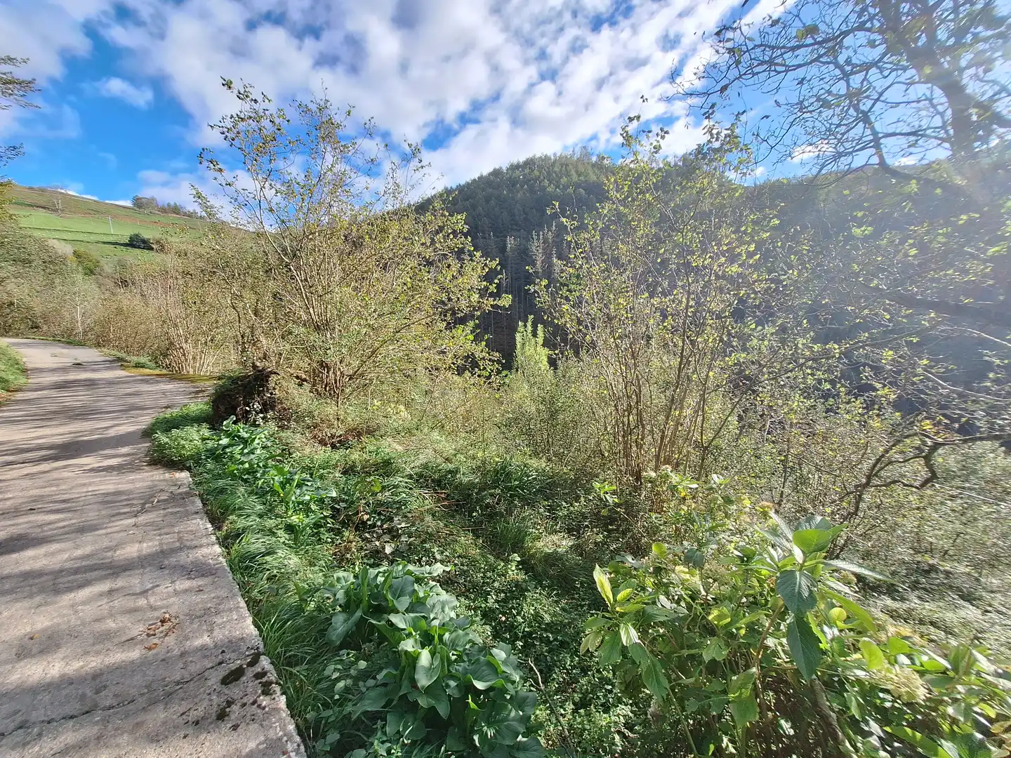 Country homes for sale in Deba