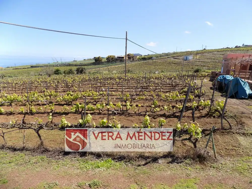 Finca rústica en venta en El Sauzal