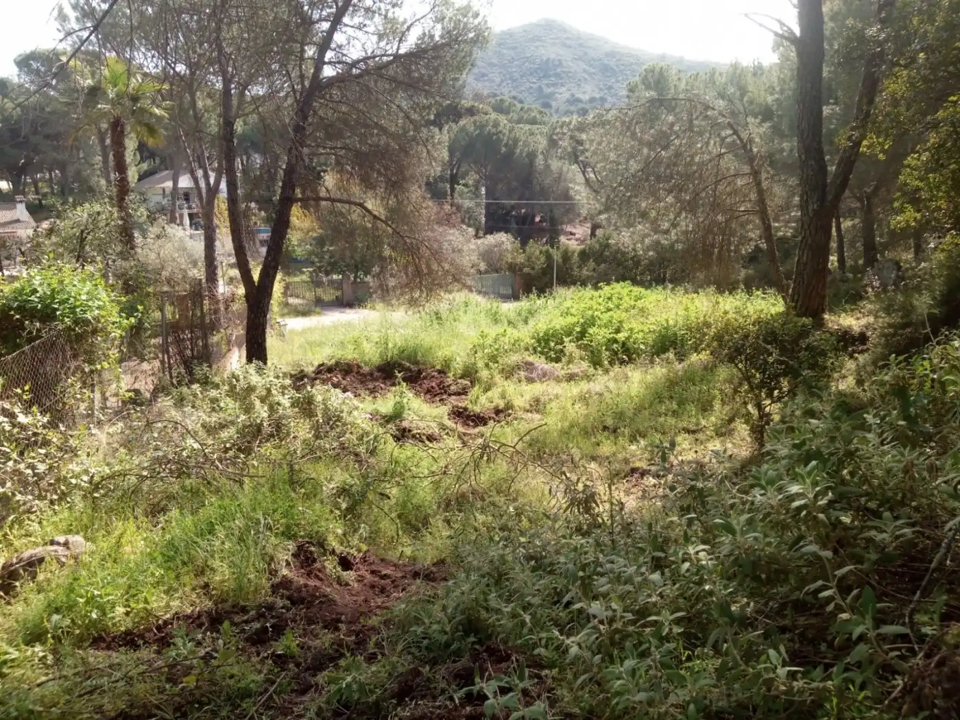 Lands and plots for sale in Periurbano Oeste - Sierra