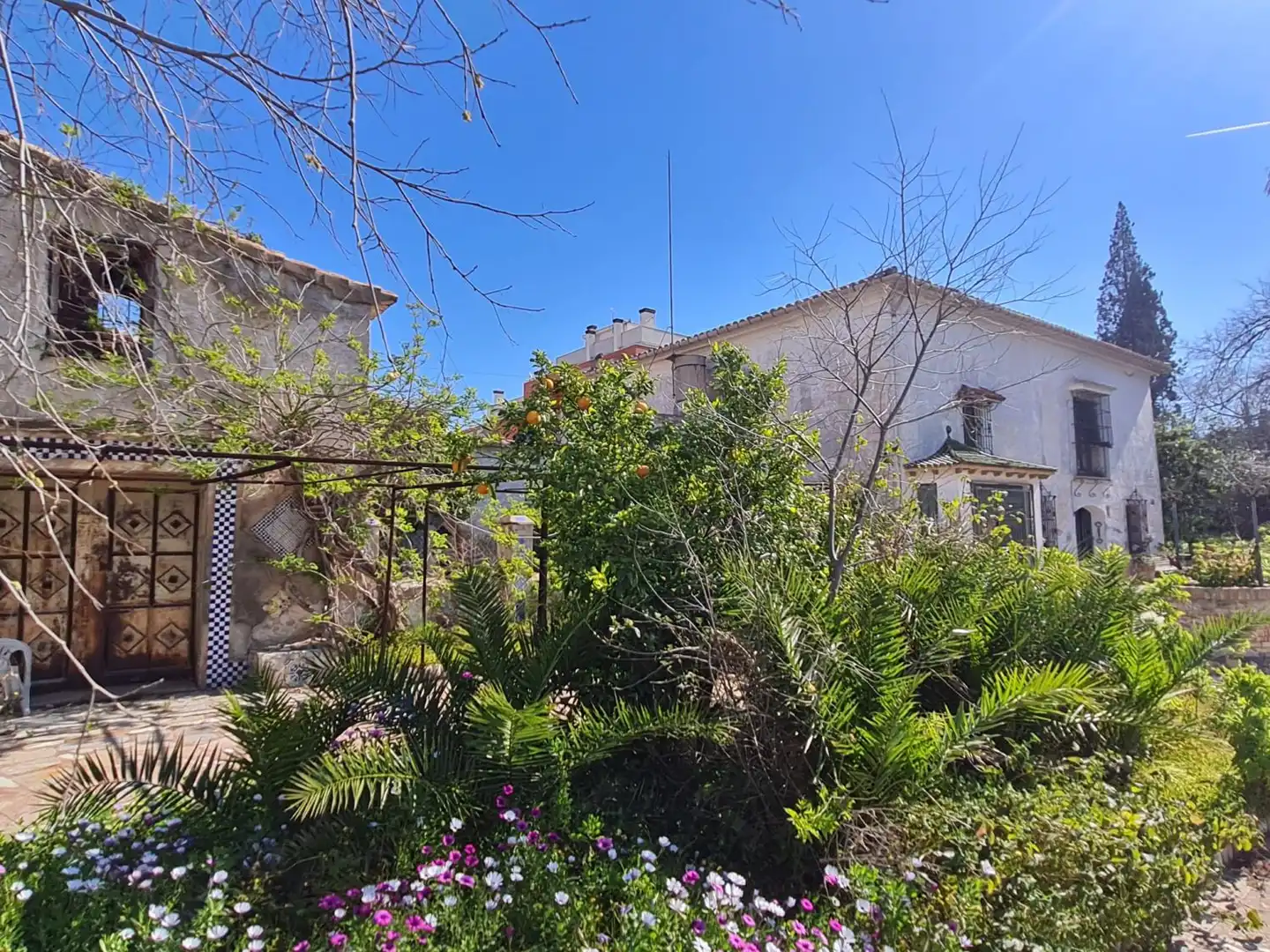 Villa à vendre à San Jaime 97, imagen 40