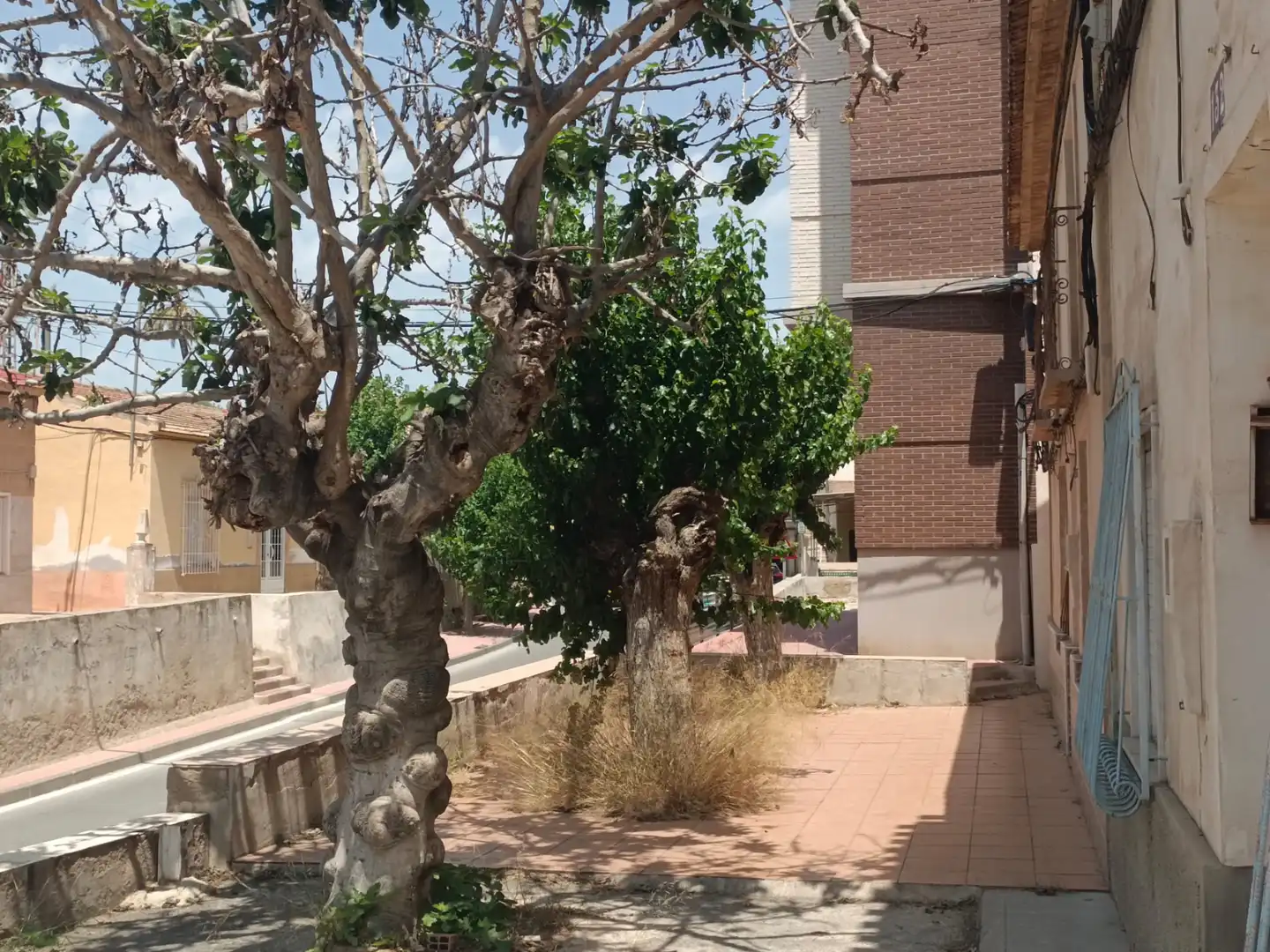 Exterior view of Residential for sale in Murcia
