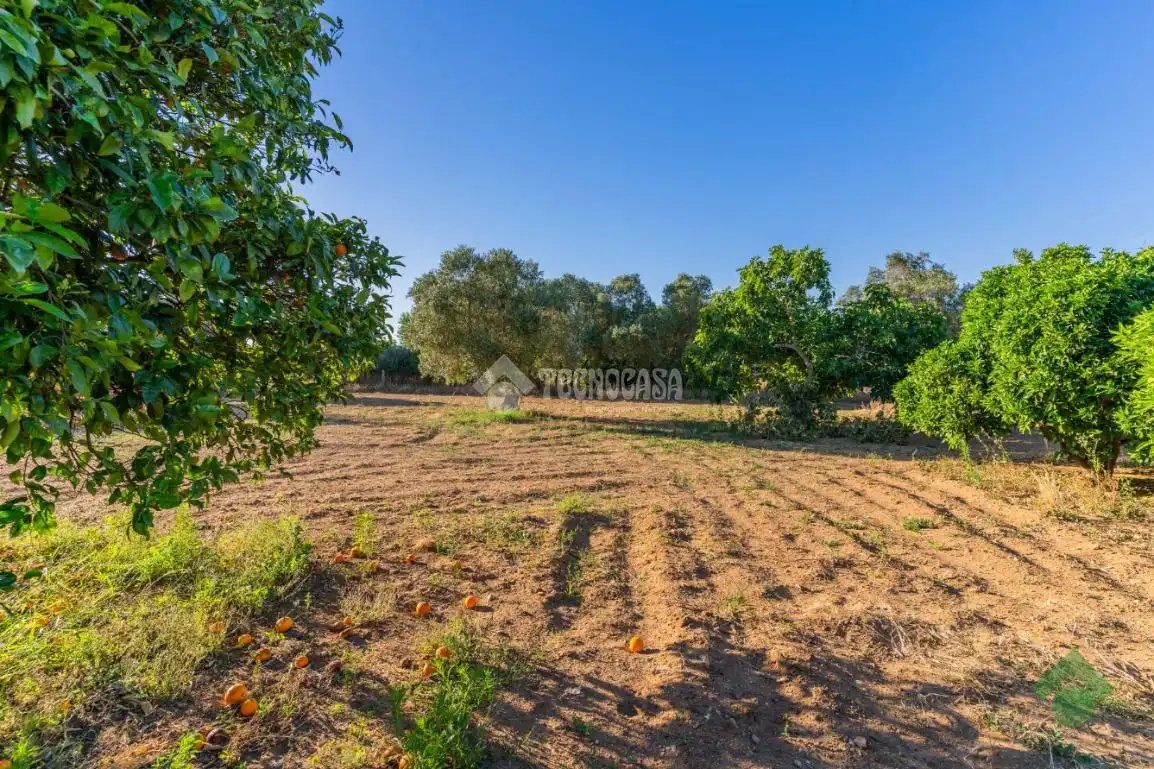 Country homes for sale in Puerto Real  with Storage room and Swimming Pool