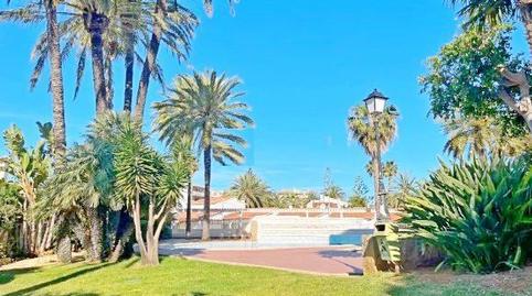 Photo 4 of Study for sale in Les Bassetes - El Marjal, Dénia