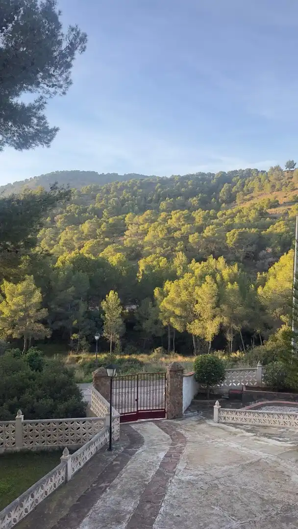 Finca rústica de alquiler en FUENTE DEL ORO, San Miguel - El Paraiso