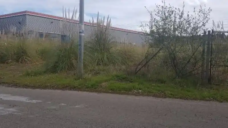 Residential land for sale in Pedrero, imagen 8